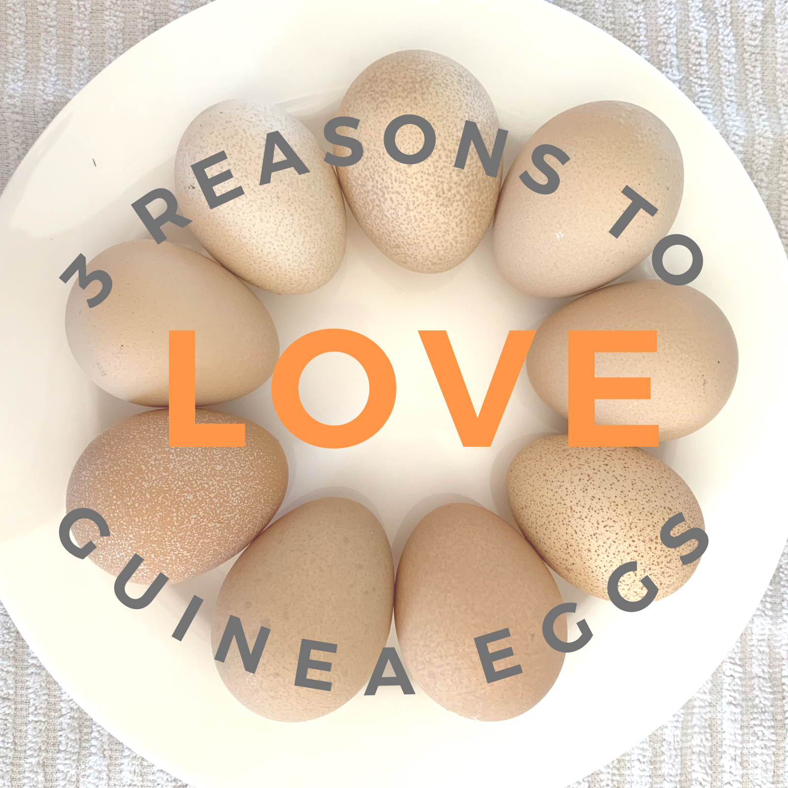 Three reasons to love Guinea fowl eggs